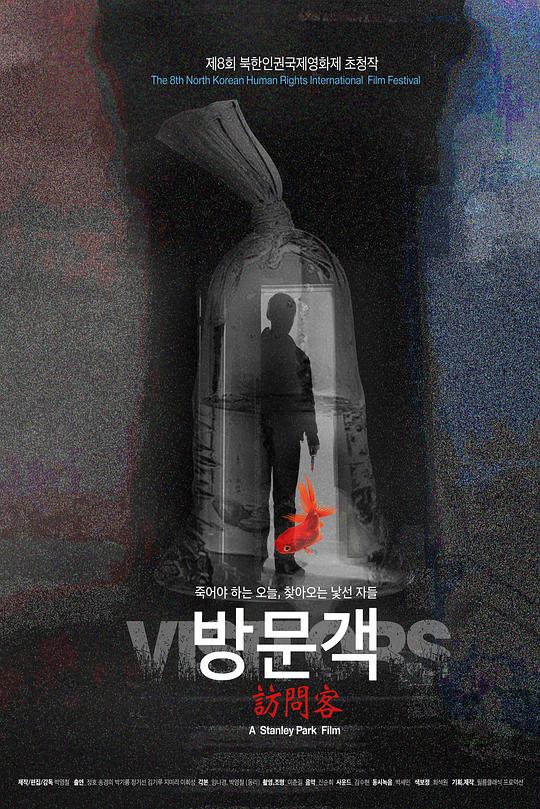 《访间客》电影封面