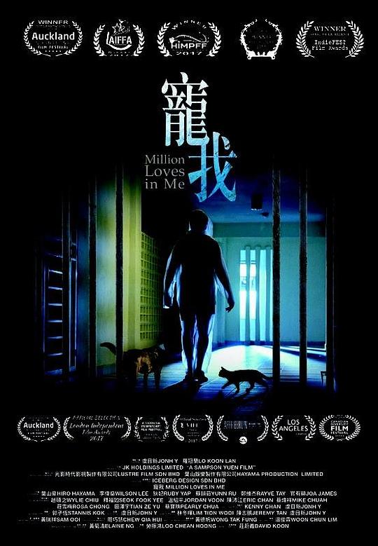 《宠我》电影封面