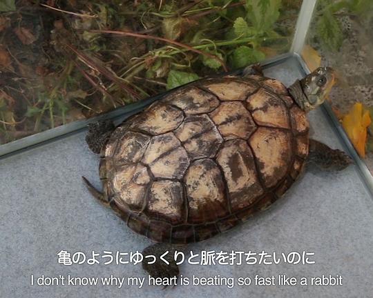 《交换日记》电影封面