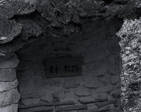 《耀眼的春日》电影封面