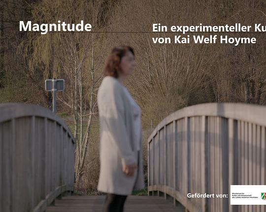 《宏大之像》纪录片封面