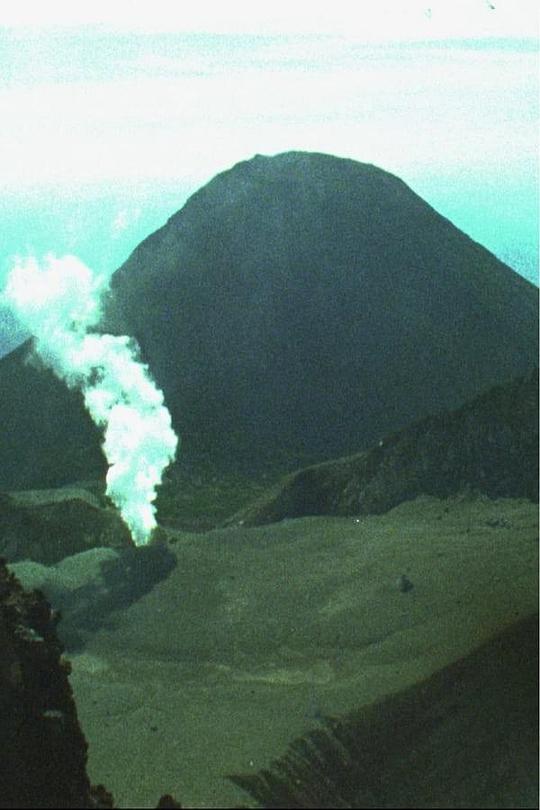 《Wabi Sabi》电影封面