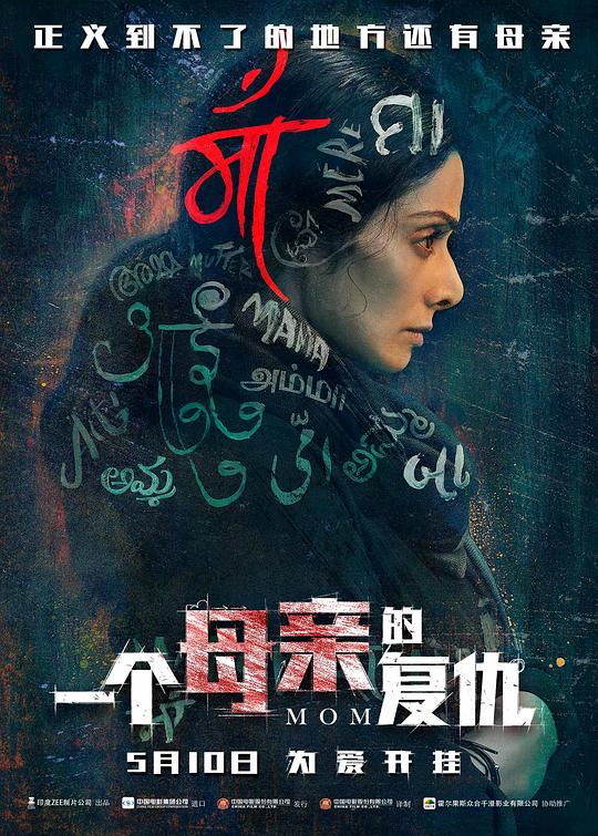 《一个母亲的复仇》电影封面