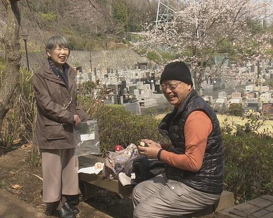 《纪实72小时 树木葬 樱花树下来见你》纪录片封面