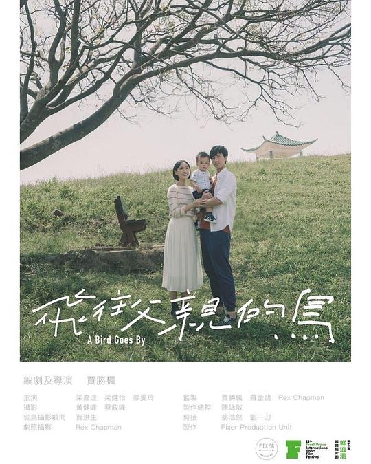 《飞往父亲的鸟》电影封面