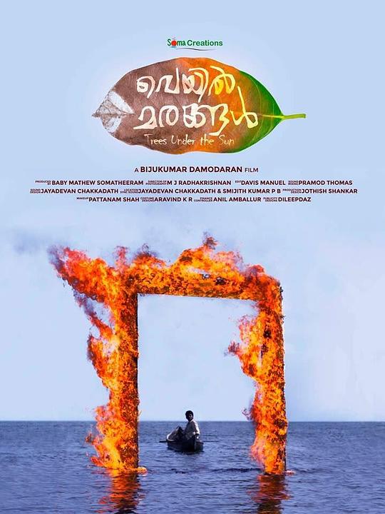 《木生日光下》电影封面