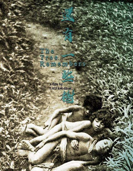 《还有一些树》纪录片封面