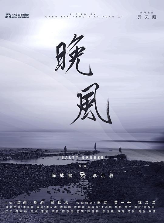 《晚风》电影封面
