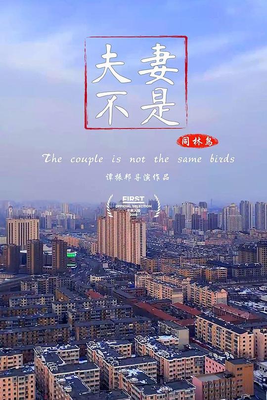 《夫妻不是同林鸟》纪录片封面