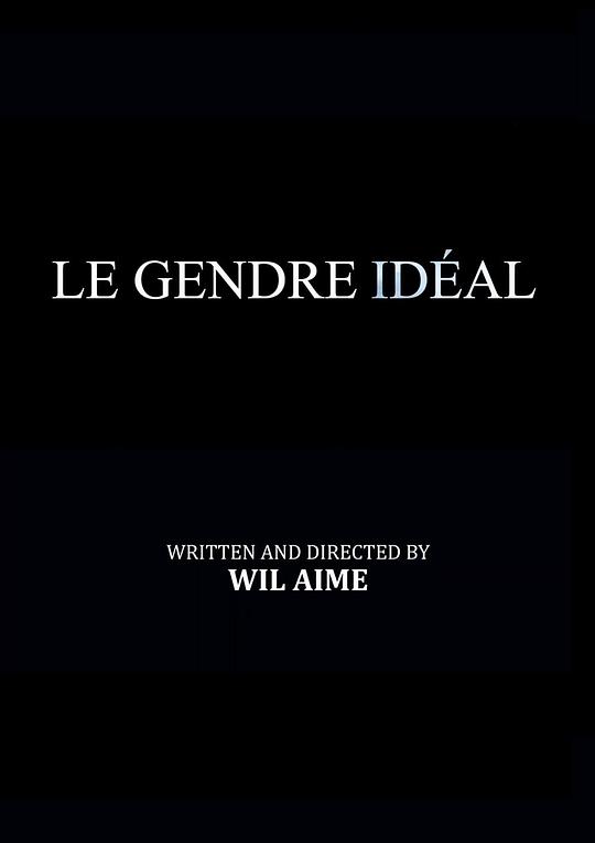 《完美女婿》电影封面