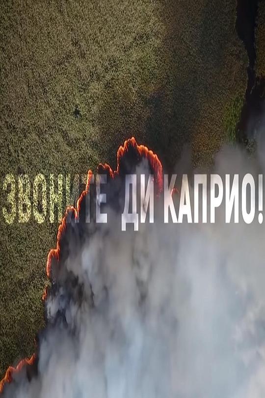 《Звоните Ди Каприо》纪录片封面