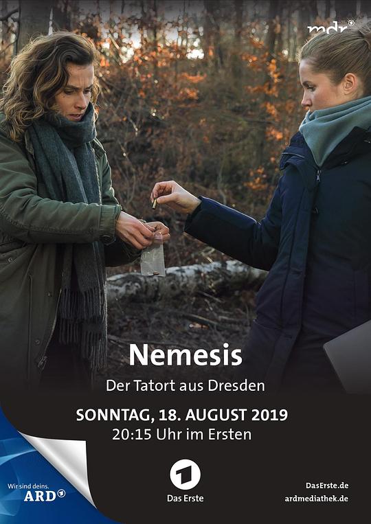 《犯罪现场：复仇》电影封面