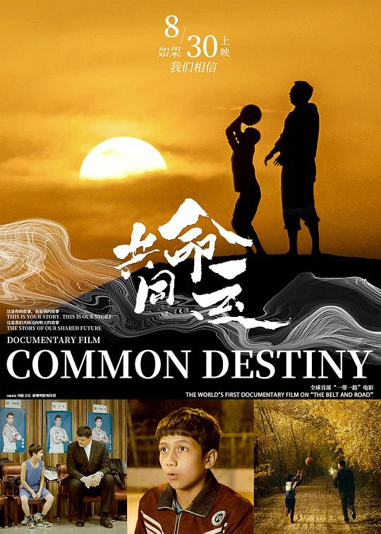 《共同命运》纪录片封面