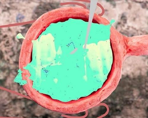 《洗衣机里的大猩猩》电影封面