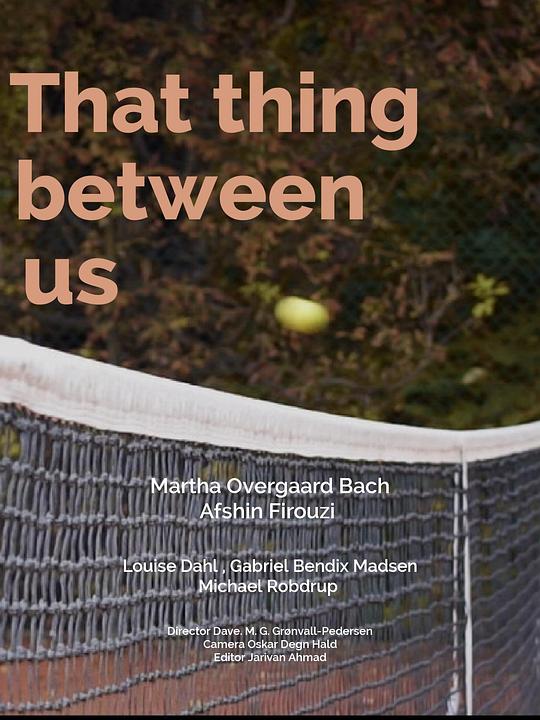 《我们之间的那件事》电影封面