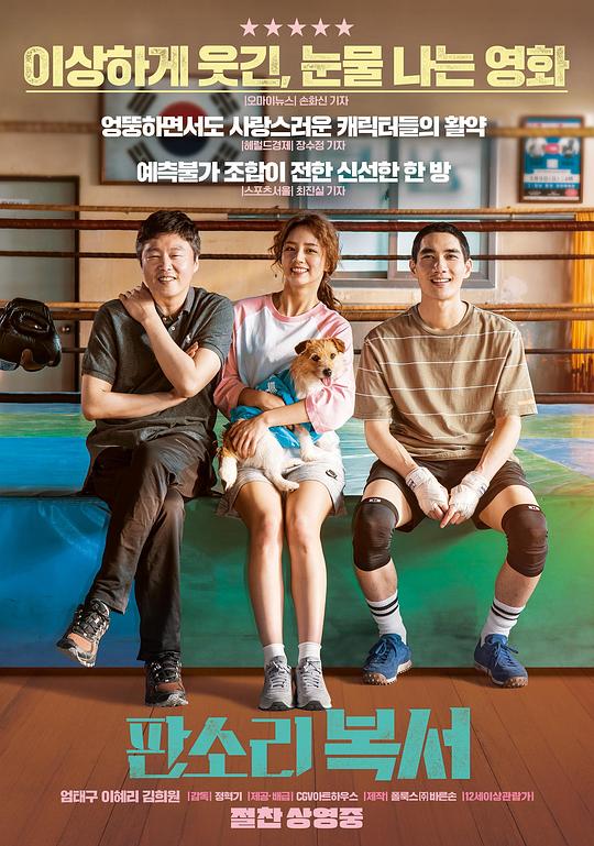 《盘索里拳击手》电影封面