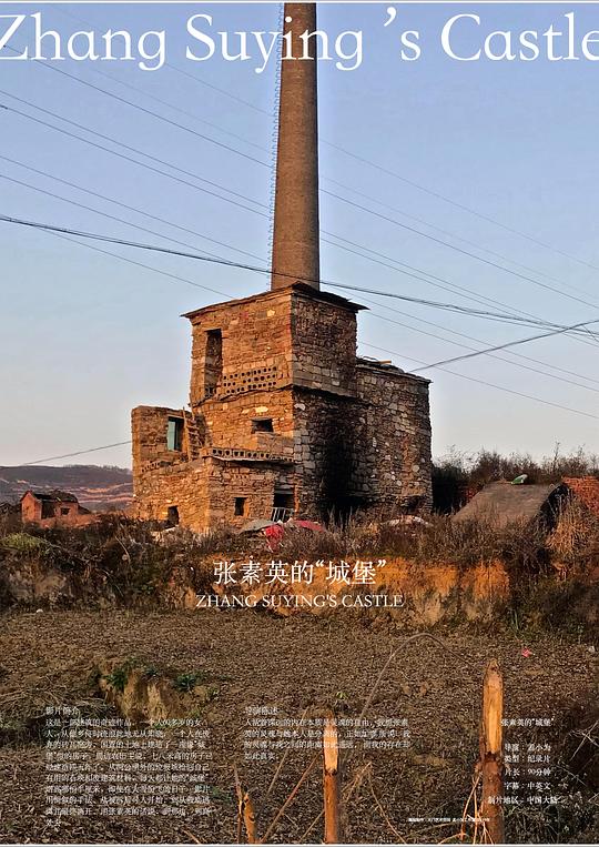《张素英的“城堡”》纪录片封面
