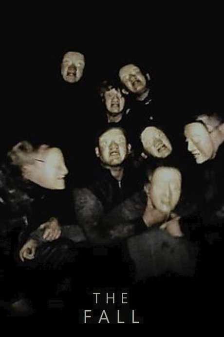 《坠落》电影封面