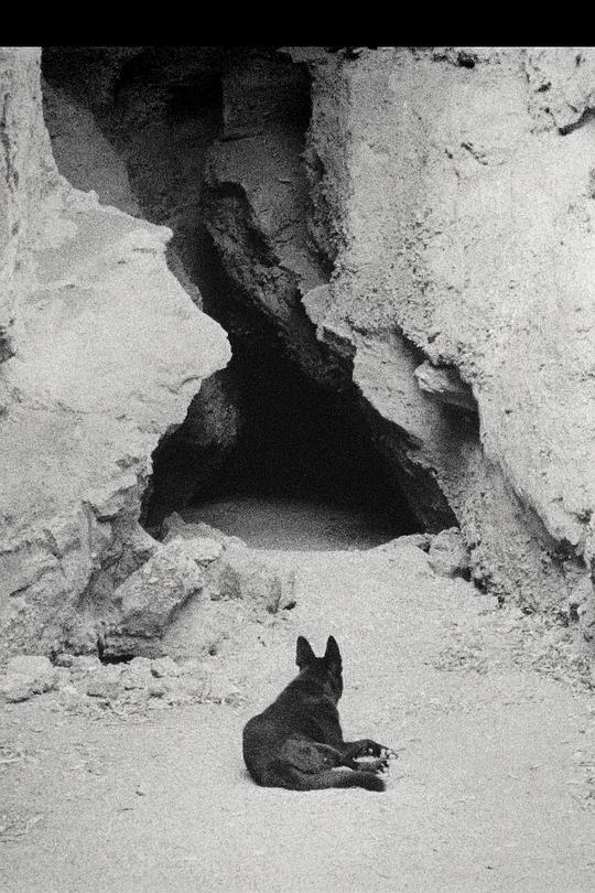 《Sirio》电影封面