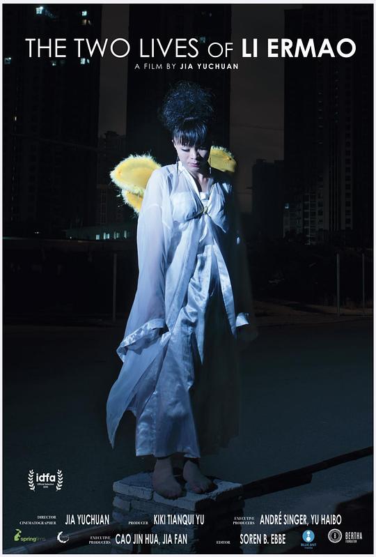 《二毛》纪录片封面