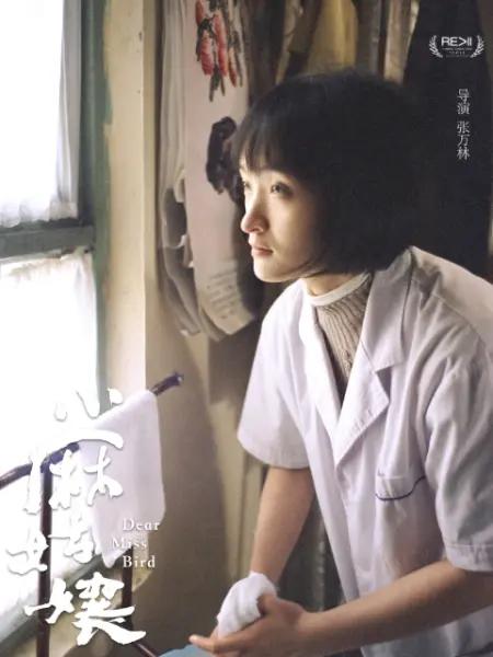 《小麻姑娘》电影封面