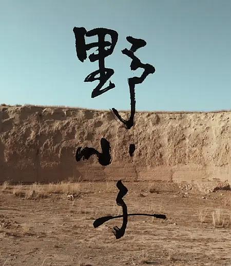 《野小子》电影封面