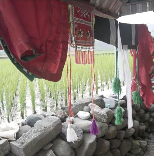 《舞赛》纪录片封面