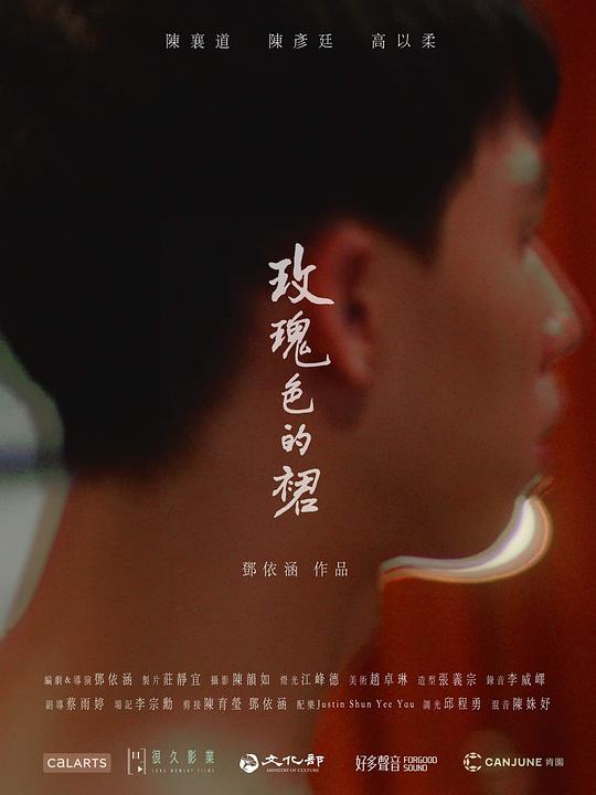 《玫瑰色的裙》电影封面