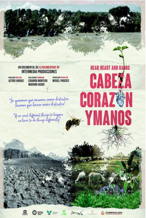 《头脑、心灵和双手》电影封面