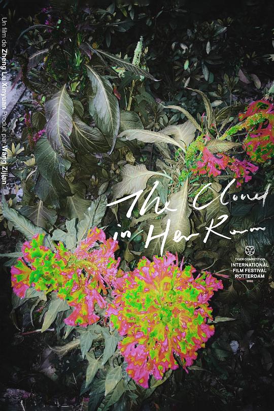 《她房间里的云》电影封面