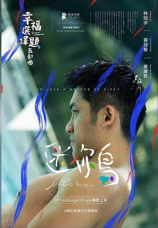 《幸福选择题五部曲 - 迷你鸟》电影封面