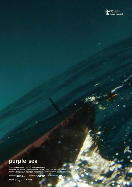 《紫海》纪录片封面