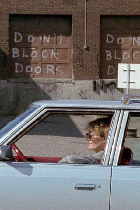 《灾星简与德菲因,一段故事》纪录片封面