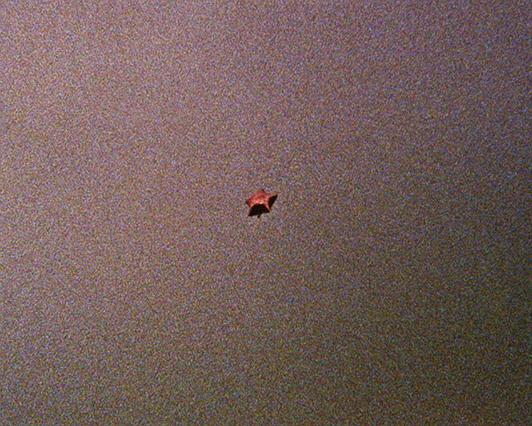 《his/her》电影封面