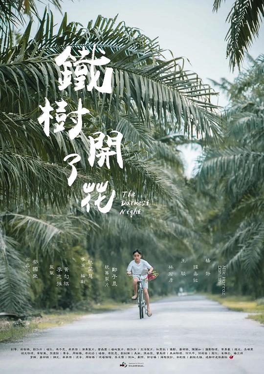 《铁树开了花》电影封面