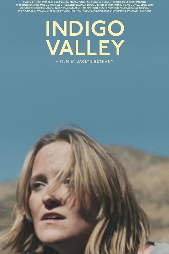 《靛蓝山谷》电影封面