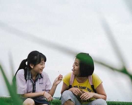 《同款的路》电影封面