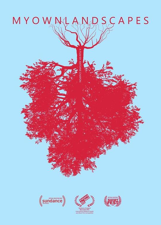 《我自己的景观》纪录片封面