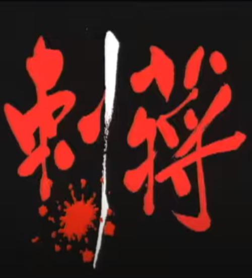 《刺蒋》纪录片封面