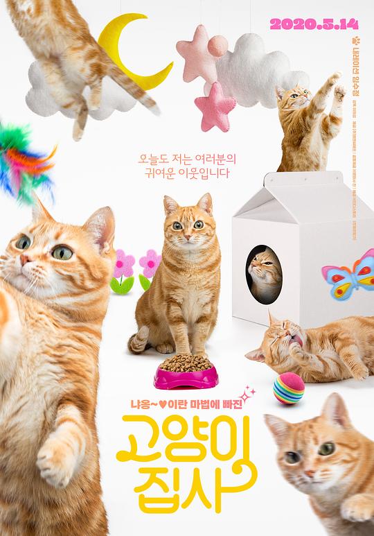 《고양이 집사》纪录片封面
