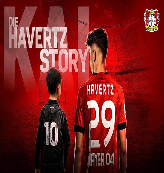 《哈弗茨-十年故事》纪录片封面