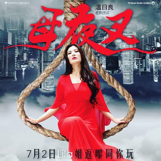 《母夜叉》电影封面