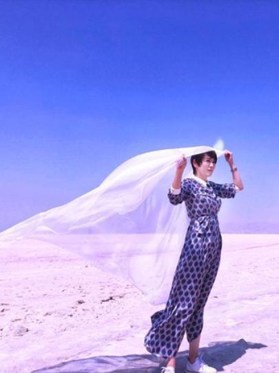 《有一种Style叫波斯》电影封面