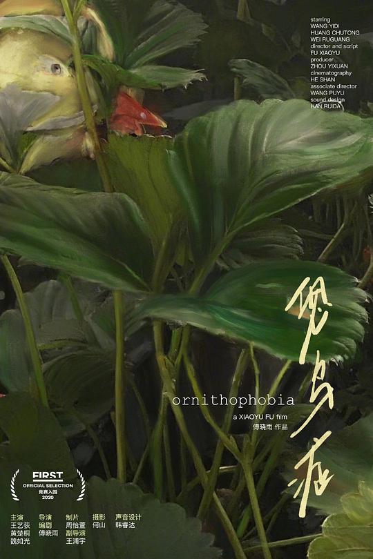 《恐鸟症》电影封面