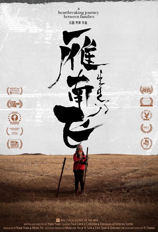 《雁南飞》电影封面