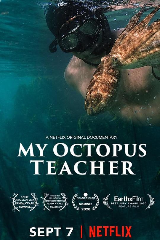 《我的章鱼老师》纪录片封面