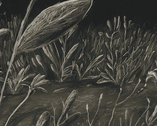 《Elo》电影封面