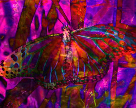 《Labor of Love》电影封面