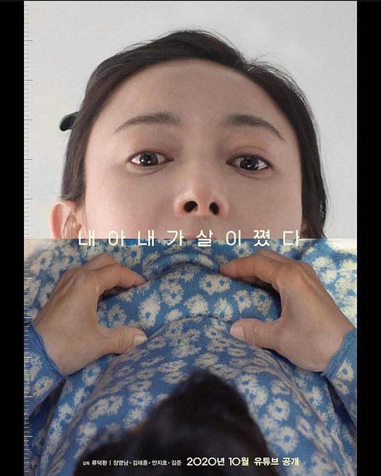 《我妻子变胖了》电影封面