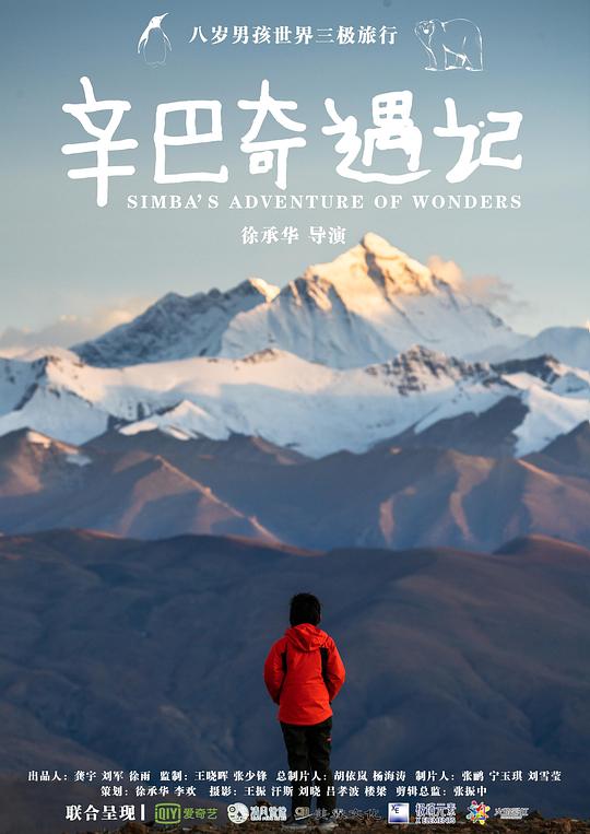 《辛巴奇遇记》纪录片封面